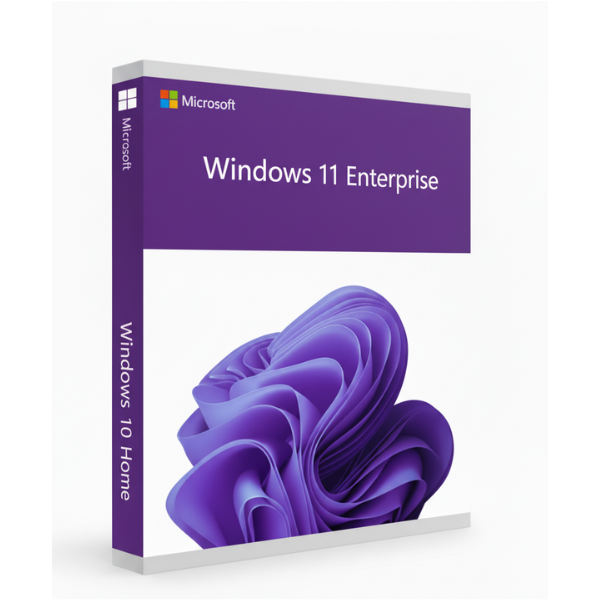 Windows 11 Entreprise